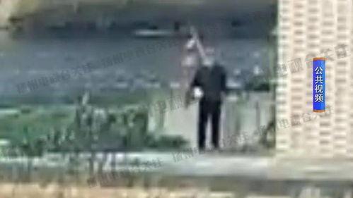 小杨爆料大杨夜钓视频